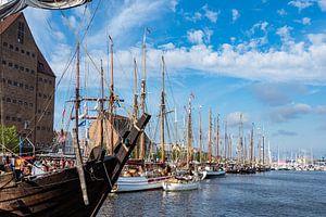 Segelschiffe auf der Hanse Sail in Rostock