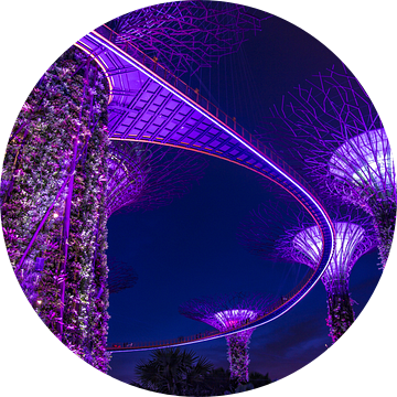 Singapore Marina Bay Gardens Skywalk by night van Yannick Karnas