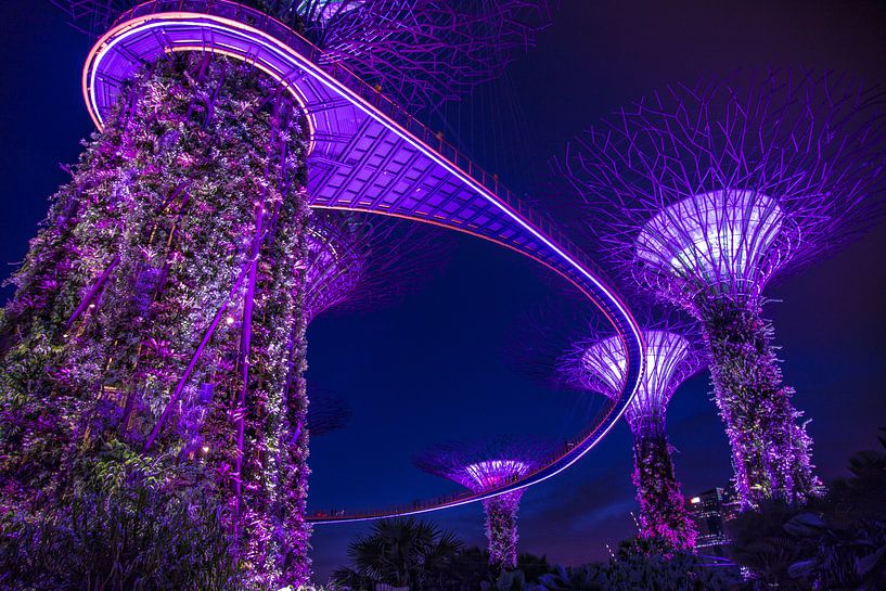 Singapore Marina Bay Gardens Skywalk by night par Yannick Karnas