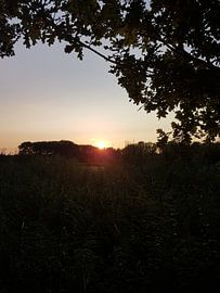 ondergaande zon