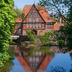 Lüner Molen van Torsten Krüger