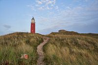 Les dunes et le phare de Texel