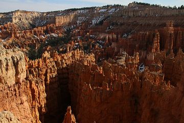 Bryce Canyon van Matthias Brix
