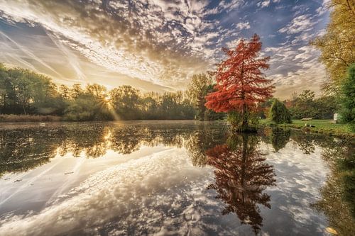Sunrise in the Amstelpark