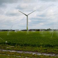 Wind turbine gebouwd op landbouw in Petten (Noord-Holland)