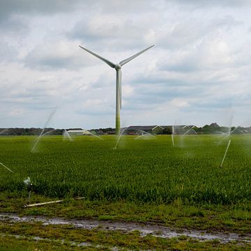 Landwirtschaftliche Windkraftanlage in Petten (Noord-Holland) von JGL Market