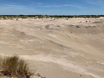 Duinen Rockanje van Eric Reijbroek