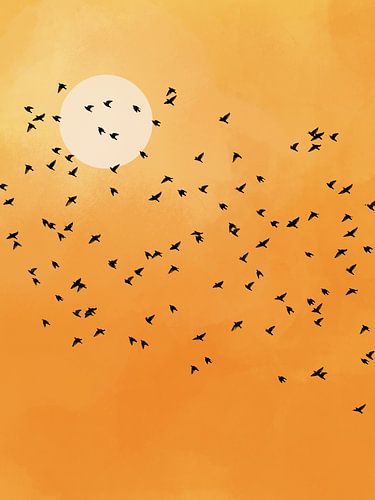 Zonnebad van Cats & Dotz