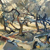 In the olive grove (square)