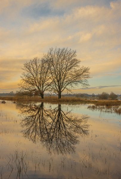 Empese and Tondense Heath by Michel Hol