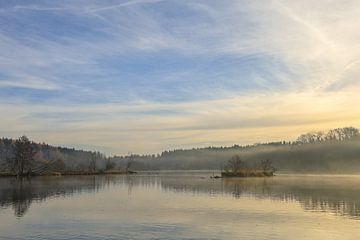 Uferlandschaft Schwackenreuter Seen mit Nebelresten - Mühlingen von BlattArt - Christine Horn