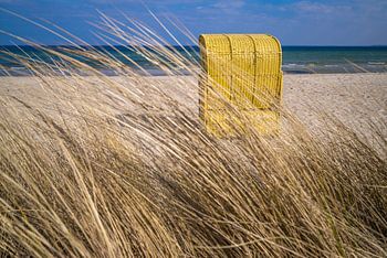 Strandkorb an der Ostsee