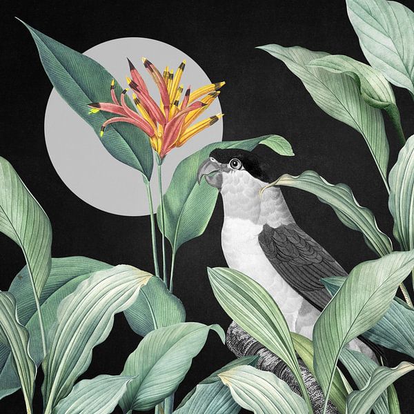 Spot the Parrot by Marja van den Hurk