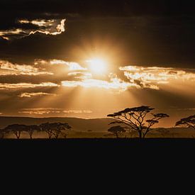 Afrikanischer Sonnenuntergang von Moments by Astrid