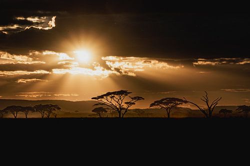 Afrikanischer Sonnenuntergang