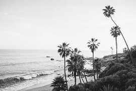 Lagunabw by Kathrin Pienaar