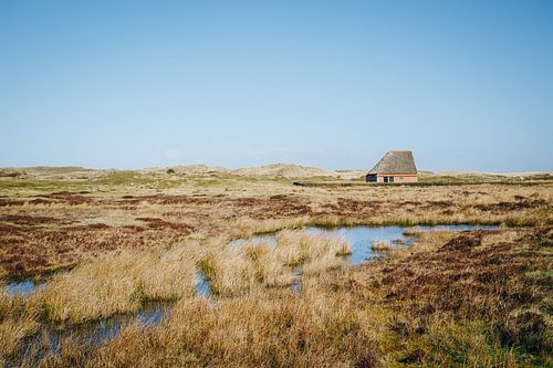 Bergerie au soleil dans le paysage des wadden de Texel | Photographie d'art néerlandaise de la natur