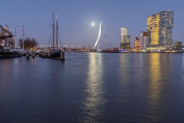 Skyline der Rotterdamer Erasmusbrücke bei Nacht im Mondlicht
