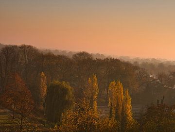 November kleuren op een mistige ochtend in Weert van Jolanda de Jong-Jansen