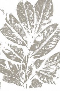 Taupefarbene Blätter im Retro-Stil. Moderne botanische minimalistische Kunst in Beton grau und weiß von Dina Dankers