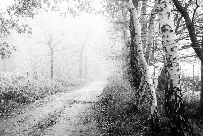 Silence by Thira Bee