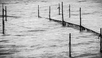 Visvangst op het IJsselmeer