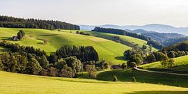 Zwarte Woud bij St. Märgen van Werner Dieterich