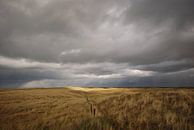 Donkere lucht boven de duinen van Margreet Frowijn thumbnail