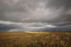 Donkere lucht boven de duinen