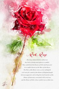 Rose rouge