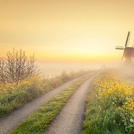 Sonnenaufgang an der Mühle von Halma Fotografie