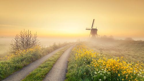 Sonnenaufgang an der Mühle