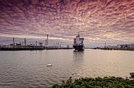Ölraffinerie im Tweede Petroleumhaven in Rotterdam von gaps photography Miniaturansicht