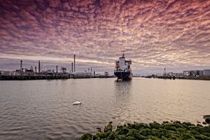olieraffinaderij aan de Tweede Petroleumhaven in Rotterdam