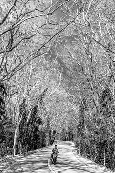 Sur la route à nouveau