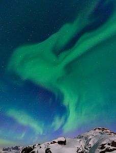 Nordlichter, Polarlicht oder Aurora Borealis im nächtlichen Himmel über Senja