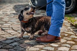 Sjefke auf dem Kai von Joy Droogsma