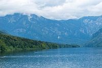 Meer van Bohinj