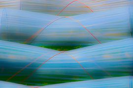 Strawberry Fields Forever by Gerrit Zomerman