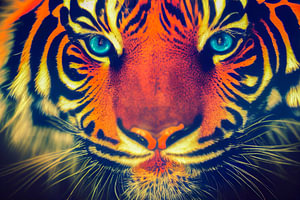 Porträt eines bunten Tigerkopfes, Generative AI Art Illustration 02