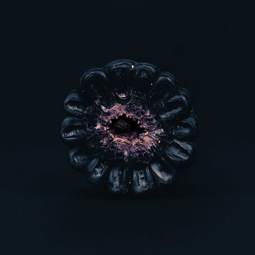 Black corn 3