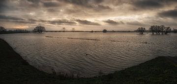 Flooding of floodplains near PW Alexanderbrug Echteld by Moetwil en van Dijk - Fotografie