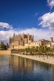 La Seu Cathedral and Parc de la Mar in Palma de Mallorca by Christian Müringer