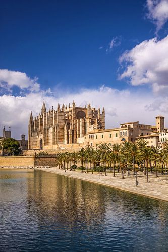 La cathédrale La Seu et le Parc de la Mar à Palma de Majorque