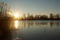 Winterse zonsopgang bij het meer