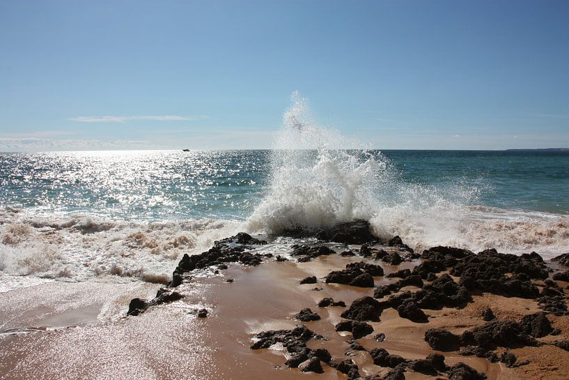 Branding by Marianne van den Bogaerdt