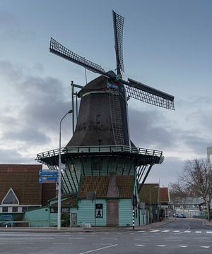 de Bleeke Dood van Arno van der Poel