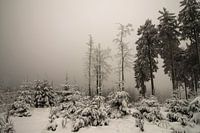 Feldberg am Taunus