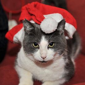 Xylia Wairy Profile picture