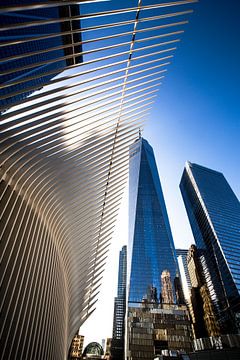 The Oculus, New York City by Ruby Schiffer